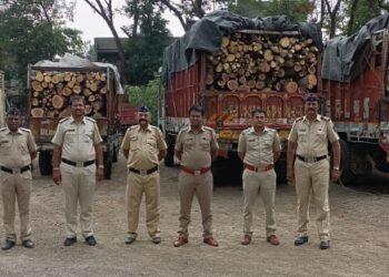 अवैध लाकूडांचे चार ट्रक पकडण्यात पोलीसांना यश; चाळीसगांव ग्रामीण पोलीसांची दमदार कारवाई..!