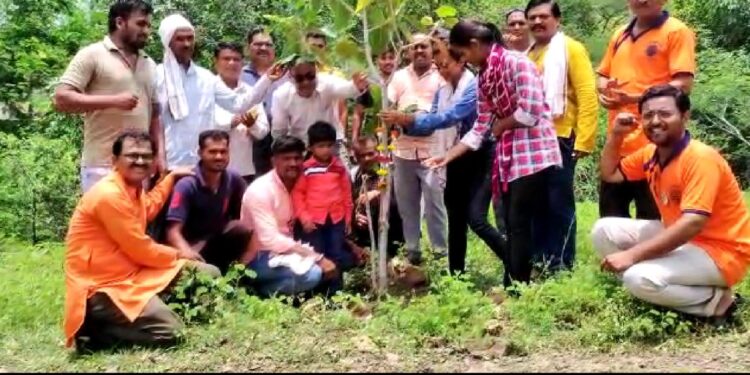 चौगांव येथील किल्ले विजयगड येथे गडसंवर्धन व वृक्षारोपण मोहीम संपन्न 