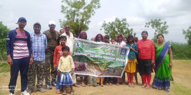 कौतुकास्पद…! वृक्ष लागवड व बीजरोपण करून सातपुड्यातील हिरवळ टिकवण्यासाठी प्रयत्न…
