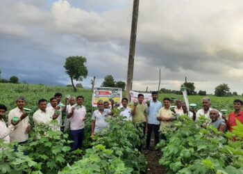 चोपडा येथे कापूस पिकावरील बोंड अळी व बोंड सड व्यवस्थापन यासंबंधी शेतकऱ्यांना मार्गदर्शन