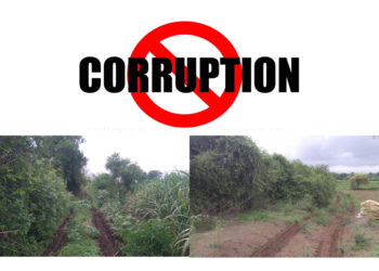 अबब… अख्खा रस्ताच केला गडप !   तावसे बु. गावातील प्रकार; माहिती अधिकारात बाब उघड…