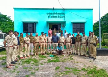 वनविभागाकडून मांडूळ जातीचा सर्प जप्त; एकावर गुन्हा दाखल व अटक