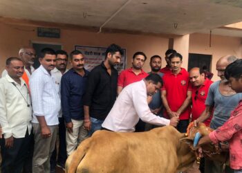 चोपडा रोटरी तर्फे बोरअजंटी येथे 600 गुरांना मोफत लंपी स्किन लसीकरण