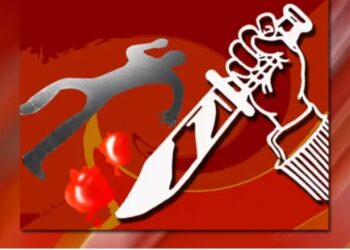 धक्कादायक .! विरवाडे गावात किरकोळ धक्का लागल्याचे कारणावरुन एकाचा खून!