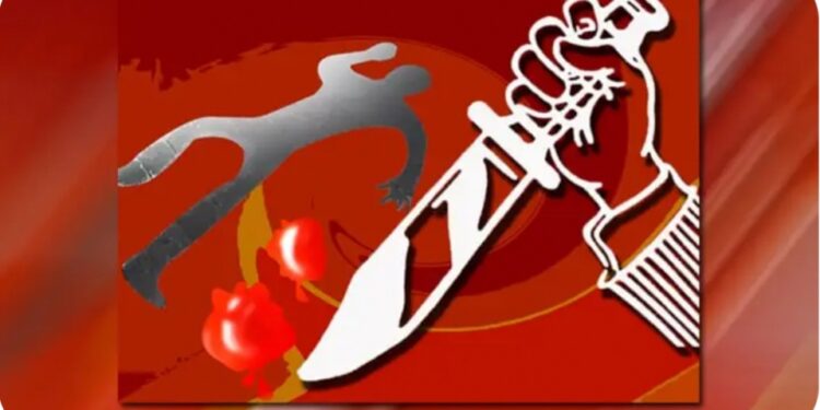 धक्कादायक .! विरवाडे गावात किरकोळ धक्का लागल्याचे कारणावरुन एकाचा खून!