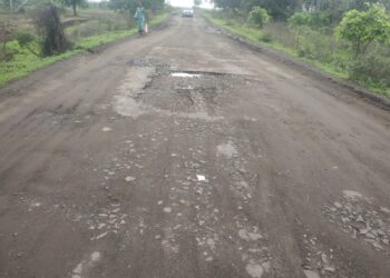 स्थानिक लोकप्रतिनिधींच्या दुर्लक्षामुळे गडकरी साहेबांच्या कारखान्यावर जाणारी वाटच झाली बिकट !