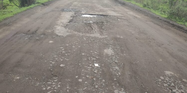 स्थानिक लोकप्रतिनिधींच्या दुर्लक्षामुळे गडकरी साहेबांच्या कारखान्यावर जाणारी वाटच झाली बिकट !