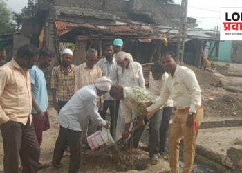 चोपड्यात राष्ट्रवादी युवक काँग्रेसच्या वतीने वृक्षारोपण संपन्न !!