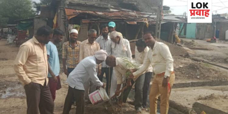 चोपड्यात राष्ट्रवादी युवक काँग्रेसच्या वतीने वृक्षारोपण संपन्न !!