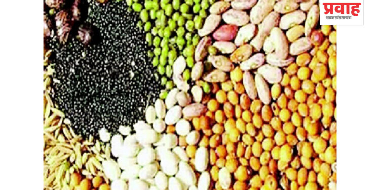 शेतकऱ्यांनी आर.आर.नावाने विकल्या जाणारे बोगस बिटी बियाणे खरेदी करु नये