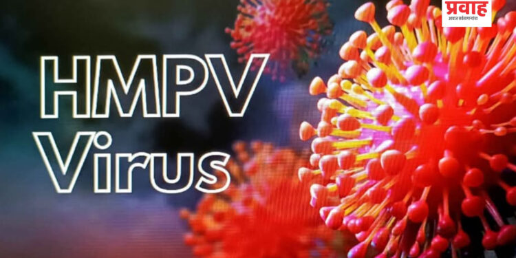 एचएमपीव्ही विषाणूला घाबरू नका, मात्र काळजी घ्या – जिल्हाधिकारी वान्मथी सी.